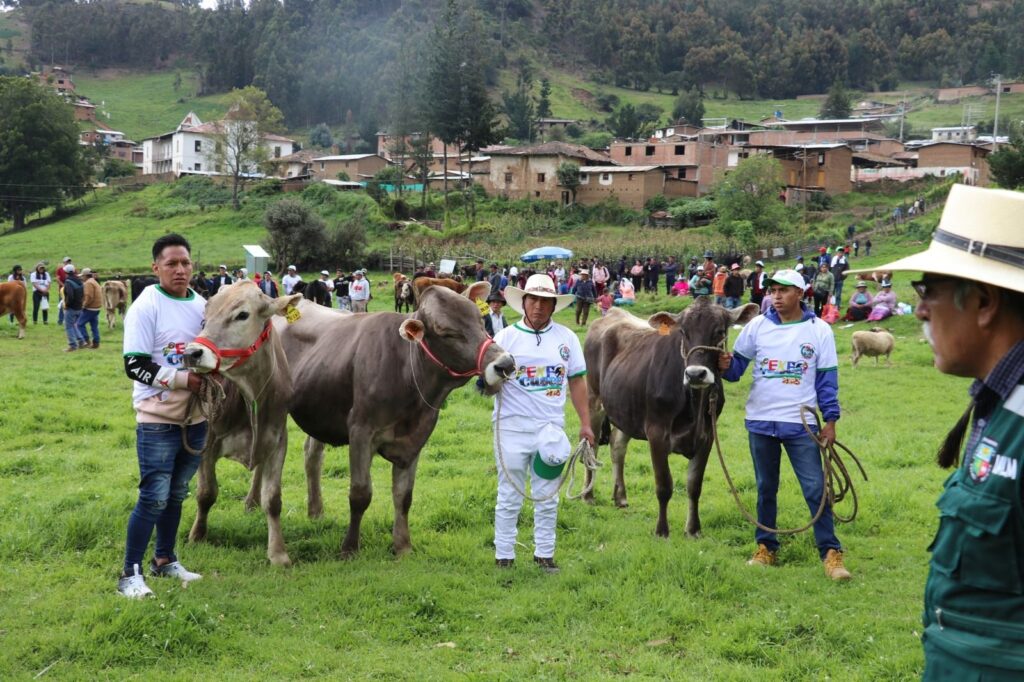 I Expoferia Ganadera Cusca