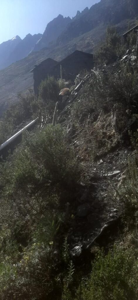 Minería ilegal quebrada Honda