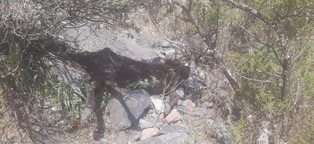 Minería ilegal quebrada Honda