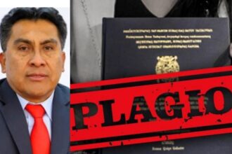 plagio de tesis de Sthefany Culcos Pérez