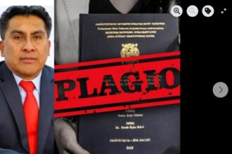 Víctor Alejandro Sichez Muñoz PLAGIO TESIS