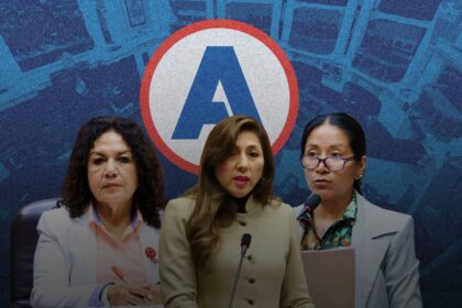 Subcomisión liderada por APP archiva y suspende 28 denuncias constitucionales contra Dina Boluarte