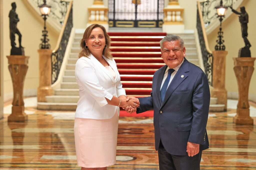 Subcomisión liderada por APP archiva y suspende 28 denuncias constitucionales contra Dina Boluarte